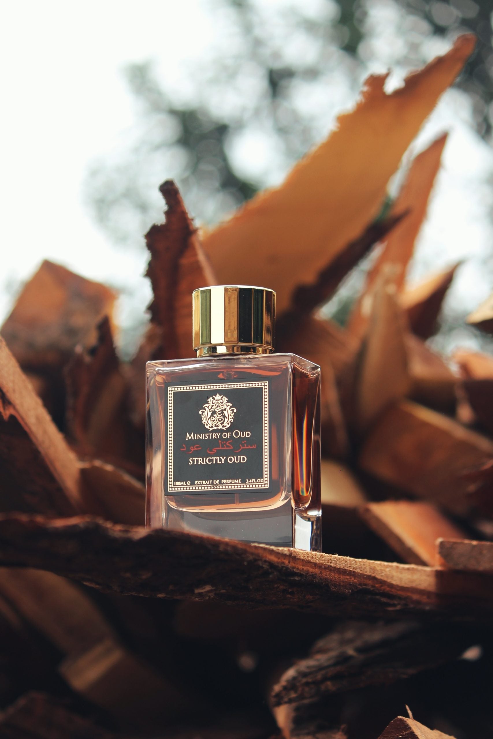 MINISTRY OF OUD-STRICTLY OUD Fragrance for Men & Women